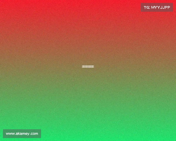 杭州电子职业大学